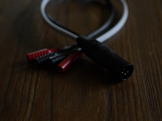 XLR 4 pin to Banana Female Adapter